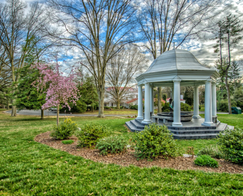 heron dome heron dome